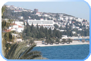 Neum